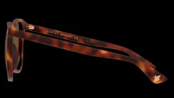 Hot Gucci GG0024S 2 Solglasögon