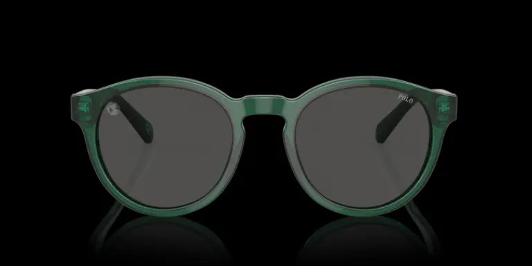 New Polo Ralph Lauren 0PH4192 608487 Solglasögon