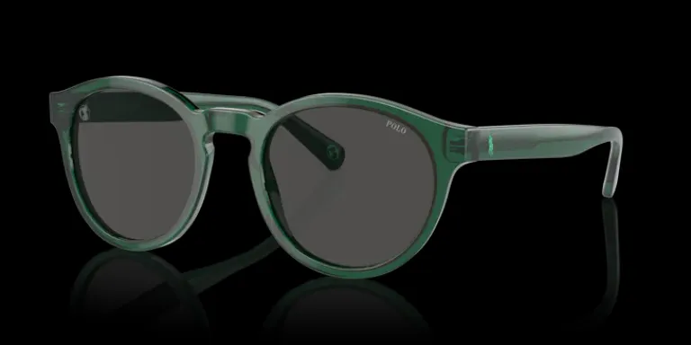 New Polo Ralph Lauren 0PH4192 608487 Solglasögon