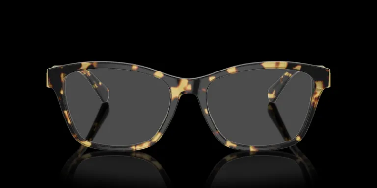 Hot Ralph Lauren 0RL6243 5004 Glasögonbåge