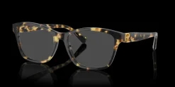 Hot Ralph Lauren 0RL6243 5004 Glasögonbåge