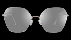 Sale Silhouette SIL5567 3530 Glasögonbåge