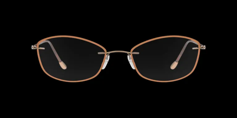 Outlet Silhouette SIL5566 6040 Glasögonbåge