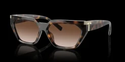 Online Tiffany & Co. Tiffany & Co. 0TF4205U 80153B Solglasögon